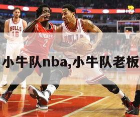 小牛队nba,小牛队老板