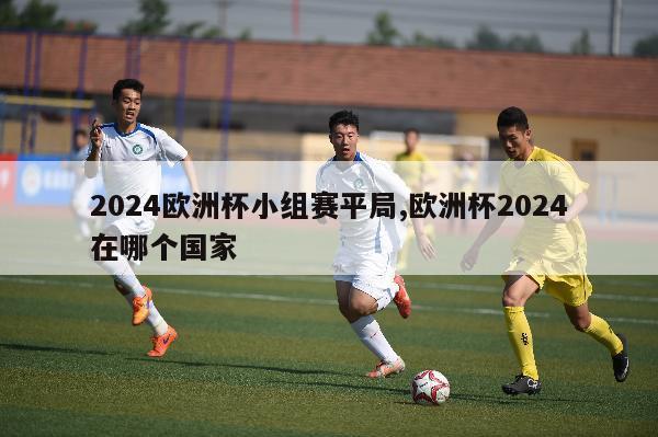 2024欧洲杯小组赛平局,欧洲杯2024在哪个国家