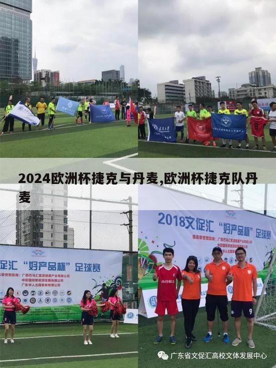 2024欧洲杯捷克与丹麦,欧洲杯捷克队丹麦