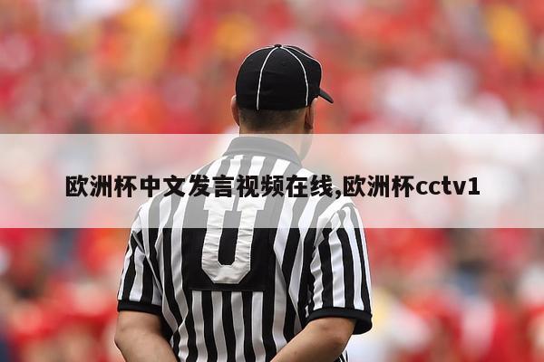 欧洲杯中文发言视频在线,欧洲杯cctv1