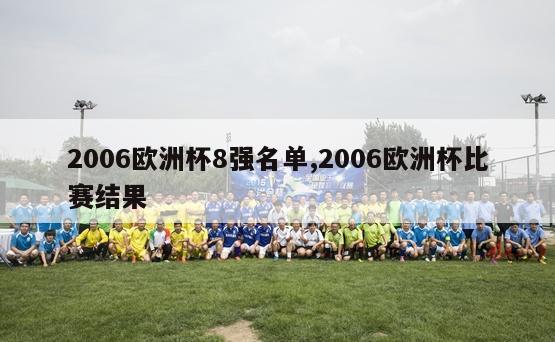 2006欧洲杯8强名单,2006欧洲杯比赛结果