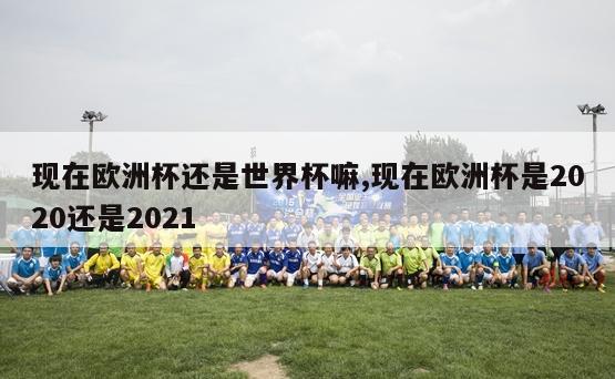 现在欧洲杯还是世界杯嘛,现在欧洲杯是2020还是2021